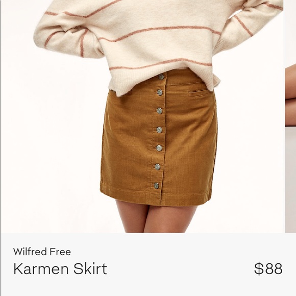 Wilfred Dresses & Skirts - Aritzia - Wilfred - size 6